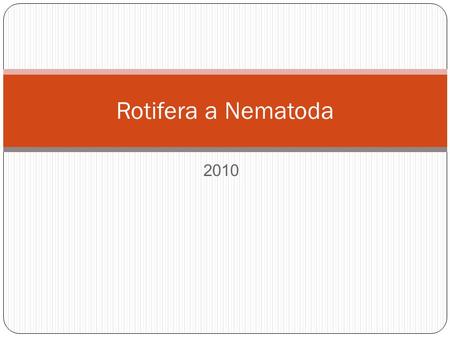 Rotifera a Nematoda 2010.