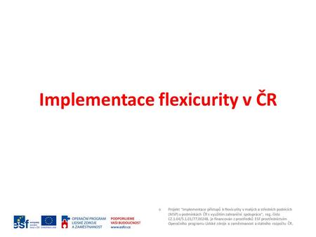 Implementace flexicurity v ČR Projekt Implementace přístupů k flexicurity v malých a středních podnicích (MSP) v podmínkách ČR s využitím zahraniční spolupráce,