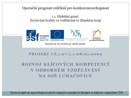 Operační program vzdělání pro konkurenceschopnost 1.1. Globální grant: Zvyšování kvality ve vzdělávání ve Zlínském kraji PROJEKT CZ.1.07/1.1.08/01.0009.