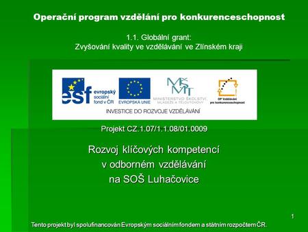 I Operační program vzdělání pro konkurenceschopnost 1.1. Globální grant: Zvyšování kvality ve vzdělávání ve Zlínském kraji Projekt CZ.1.07/1.1.08/01.0009.