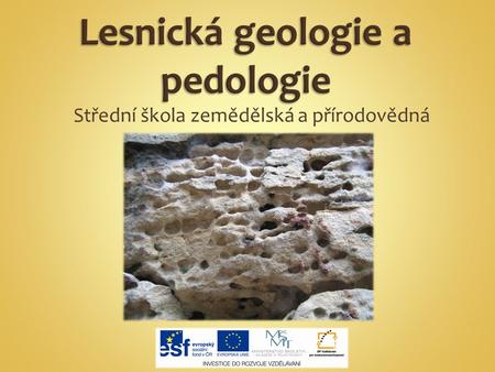 Lesnická geologie a pedologie