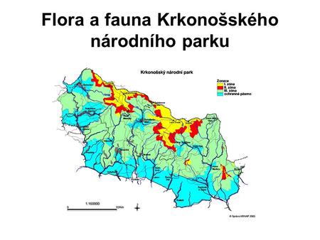 Flora a fauna Krkonošského národního parku