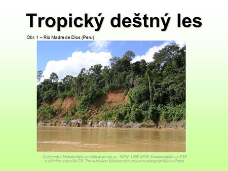 Tropický deštný les Obr. 1 – Rio Madre de Dios (Peru)