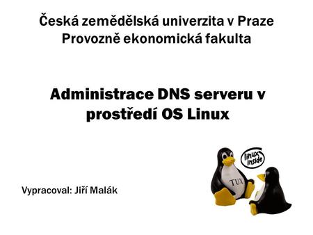 Česká zemědělská univerzita v Praze Provozně ekonomická fakulta Administrace DNS serveru v prostředí OS Linux Vypracoval: Jiří Malák.