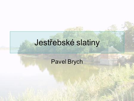 Jestřebské slatiny Pavel Brych.
