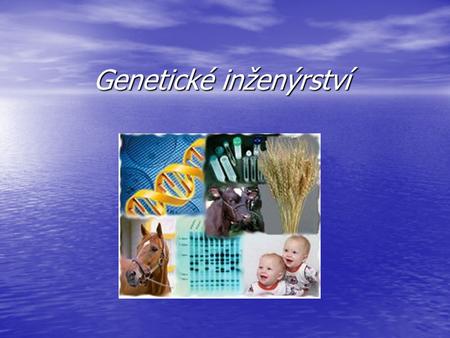 Genetické inženýrství. Co to je? Genetické inženýrství je soubor technik, které slouží k izolaci, modifikaci, rozmnožování a rekombinaci genů z různých.
