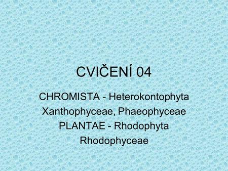 CVIČENÍ 04 CHROMISTA - Heterokontophyta Xanthophyceae, Phaeophyceae