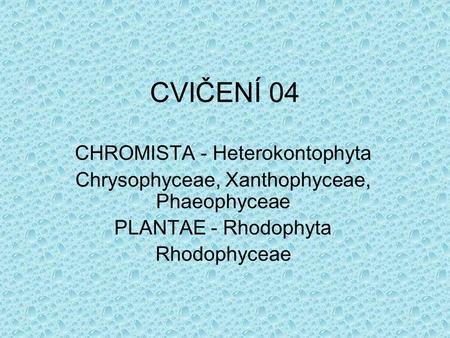 CVIČENÍ 04 CHROMISTA - Heterokontophyta