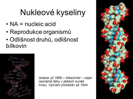 Nukleové kyseliny NA = nucleic acid Reprodukce organismů