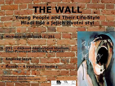 THE WALL Young People and Their Life Style Mladí lidé a jejich životní styl Michaela Hrdličková, č. 251 DS2 – dálkové nástavbové studium, obor Provozní.