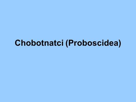 Chobotnatci (Proboscidea)