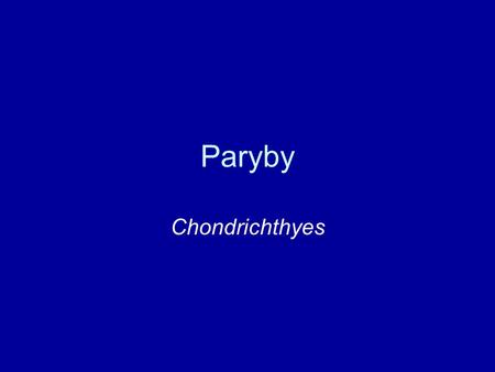 Paryby Chondrichthyes.