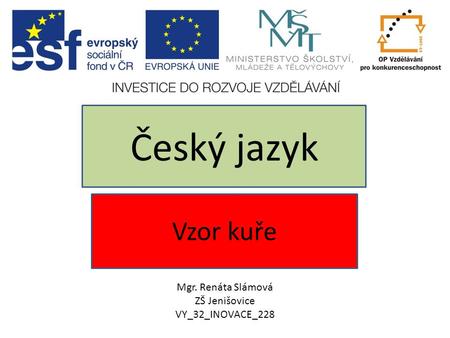 Český jazyk Vzor kuře Mgr. Renáta Slámová ZŠ Jenišovice