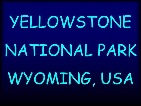 YELLOWSTONE NATIONAL PARK WYOMING, USA.