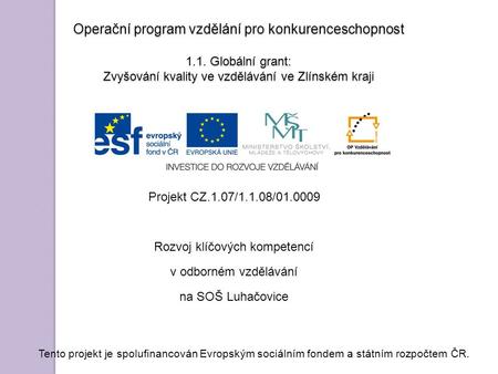 Operační program vzdělání pro konkurenceschopnost 1.1. Globální grant: Zvyšování kvality ve vzdělávání ve Zlínském kraji Projekt CZ.1.07/1.1.08/01.0009.