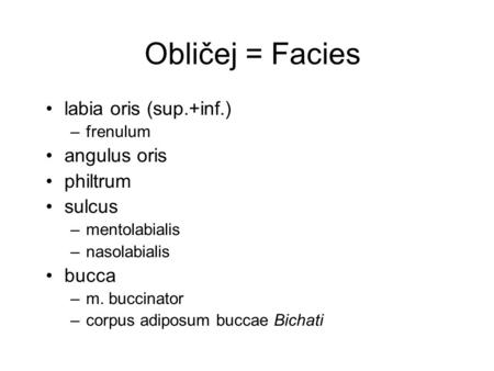Obličej = Facies labia oris (sup.+inf.) angulus oris philtrum sulcus