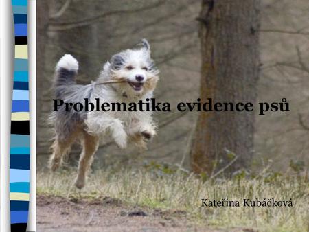 Problematika evidence psů