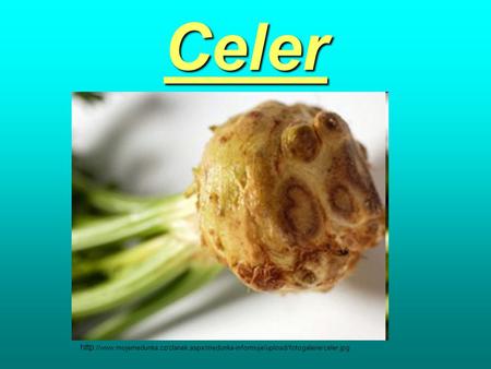 Celer http://www.mojemedunka.cz/clanek.aspx/medunka-informuje/upload/fotogalerie/celer.jpg.