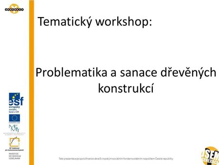 Problematika a sanace dřevěných konstrukcí Tematický workshop: