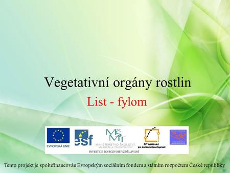 Vegetativní orgány rostlin