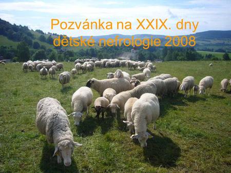 Pozvánka na XXIX. dny dětské nefrologie 2008 Dolní Morava u Králík.