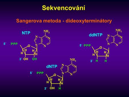Sekvencování Sangerova metoda - dideoxyterminátory O PPP H OH H OH H H 5´ 3´ NTP N N N N NH 2 O PPP H H H OH H H 5´ 3´ dNTP N N N N NH 2 O PPP H H H H.
