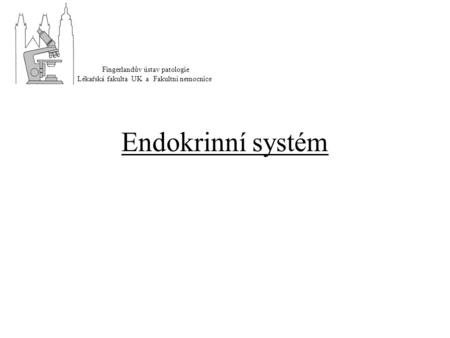 Endokrinní systém Fingerlandův ústav patologie