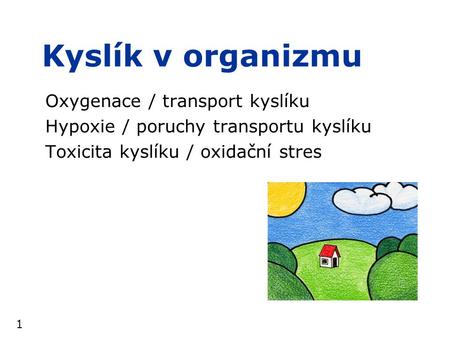 Kyslík v organizmu Oxygenace / transport kyslíku