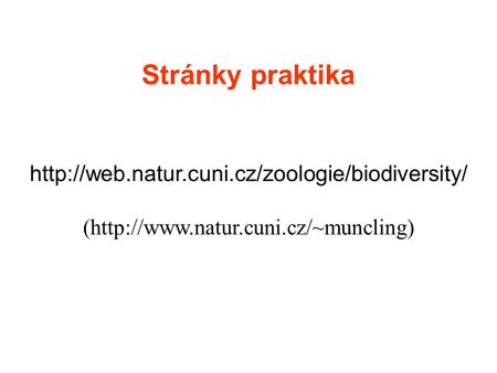 Stránky praktika  (http://www.natur.cuni.cz/~muncling)