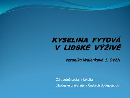 Zdravotně sociální fakulta Jihočeské univerzity v Českých Budějovicích.