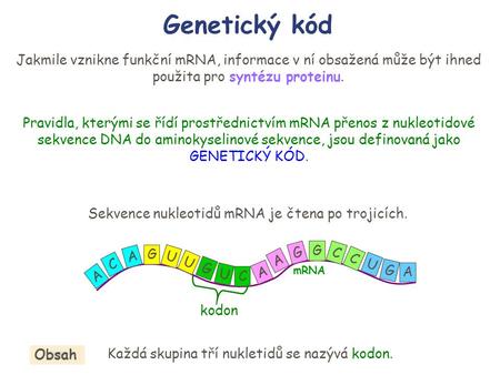 Genetický kód Jakmile vznikne funkční mRNA, informace v ní obsažená může být ihned použita pro syntézu proteinu. Pravidla, kterými se řídí prostřednictvím.