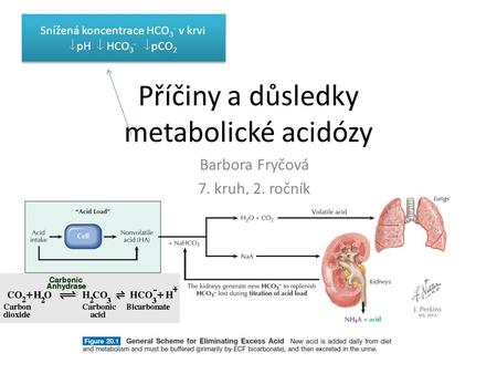 Příčiny a důsledky metabolické acidózy Barbora Fryčová 7. kruh, 2. ročník Snížená koncentrace HCO 3 - v krvi  pH  HCO 3 -  pCO 2 Snížená koncentrace.