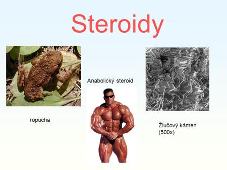 Steroidy Anabolický steroid ropucha Žlučový kámen (500x)
