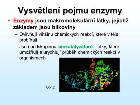 Vysvětlení pojmu enzymy