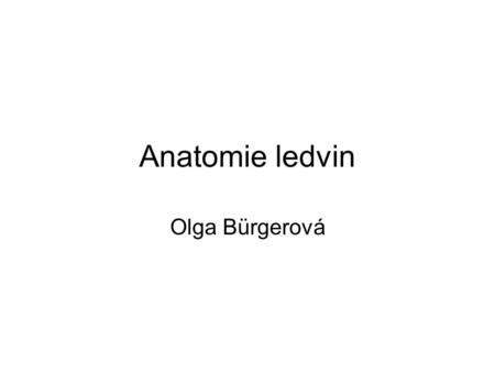Anatomie ledvin Olga Bürgerová.