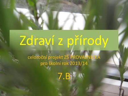 Zdraví z přírody celoroční projekt ZŠ PROVAZNICKÁ pro školní rok 2013/14 7.B.