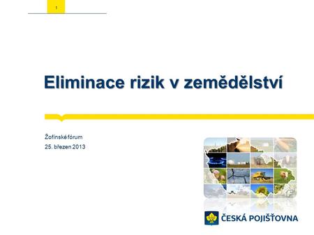 Eliminace rizik v zemědělství Žofínské fórum 25. březen 2013 1.