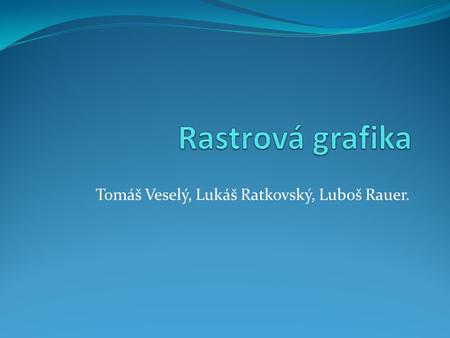 Tomáš Veselý, Lukáš Ratkovský, Luboš Rauer.