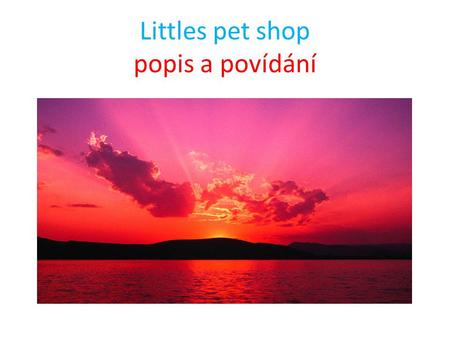 Littles pet shop popis a povídání. Littles pet shop jsou malá roztomilá zvířátka. Je mnoho různých druhů na zbírání. Například:kočka,pes,mrož,křeček,štěně,kotě,