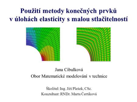 Jana Cibulková Obor Matematické modelování v technice
