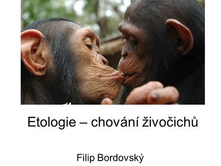 Etologie – chování živočichů