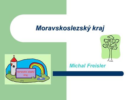 Moravskoslezský kraj Michal Freisler.