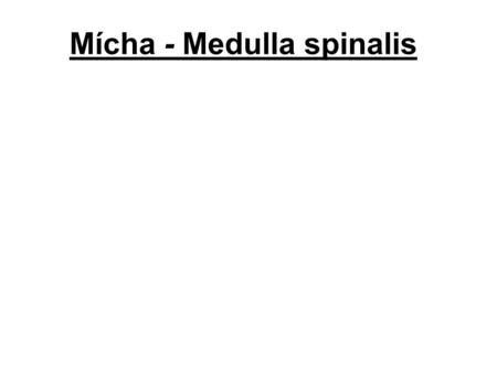 Mícha - Medulla spinalis