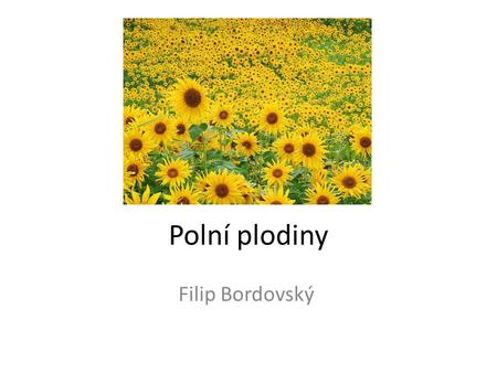 Polní plodiny Filip Bordovský.