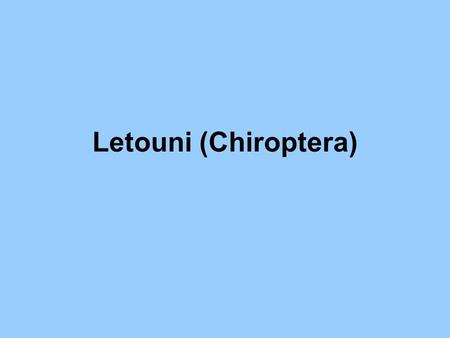Letouni (Chiroptera).