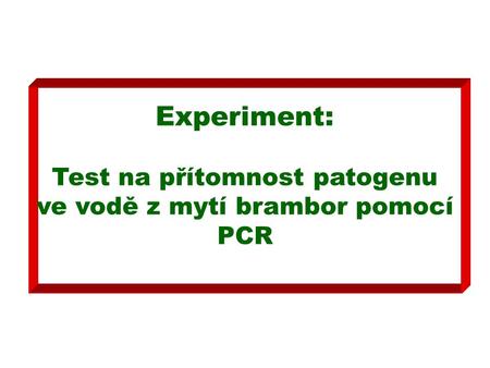 Experiment: Test na přítomnost patogenu ve vodě z mytí brambor pomocí PCR.