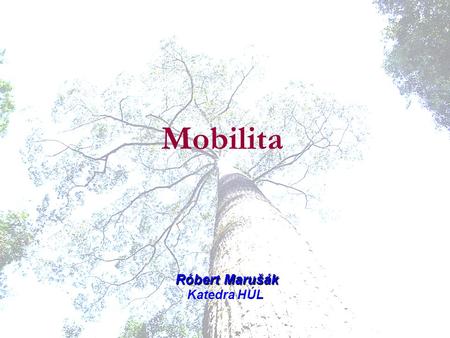 Mobilita Róbert Marušák Katedra HÚL. Mobilita doktorské studium celé část Postdoctoral Cíl mobility studium výzkum.