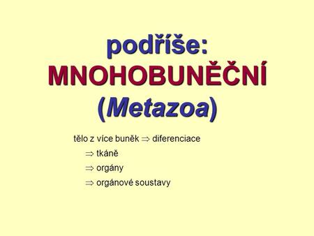 podříše: MNOHOBUNĚČNÍ (Metazoa)