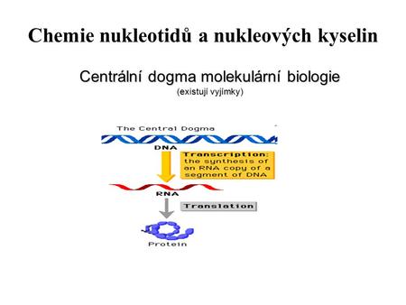 Centrální dogma molekulární biologie (existují vyjímky)