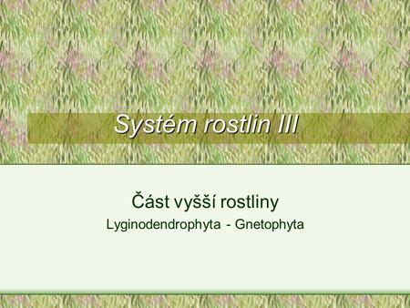 Část vyšší rostliny Lyginodendrophyta - Gnetophyta